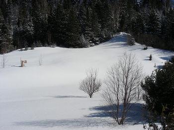 Du Jardin Petit-Saguenay